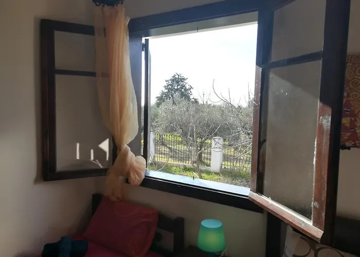 George's House