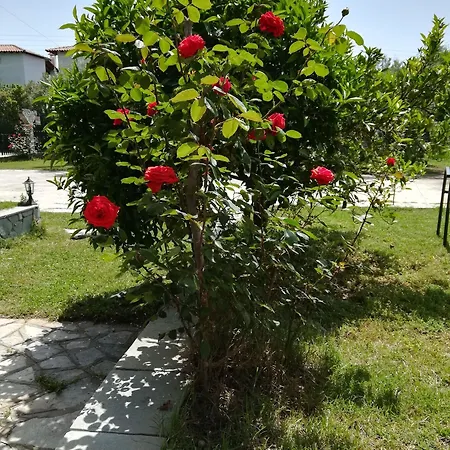 George's House Ferienhaus *