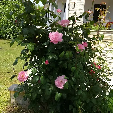 Ferienhaus George's House *