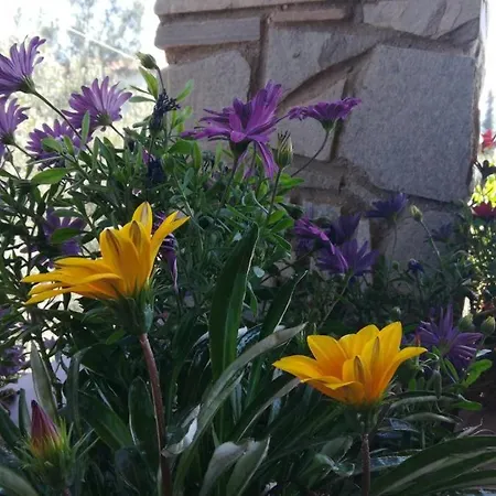 George's House Ferienhaus Nikiti (Sithonia)